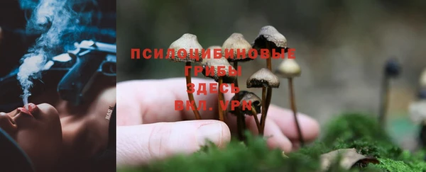 ECSTASY Белоозёрский